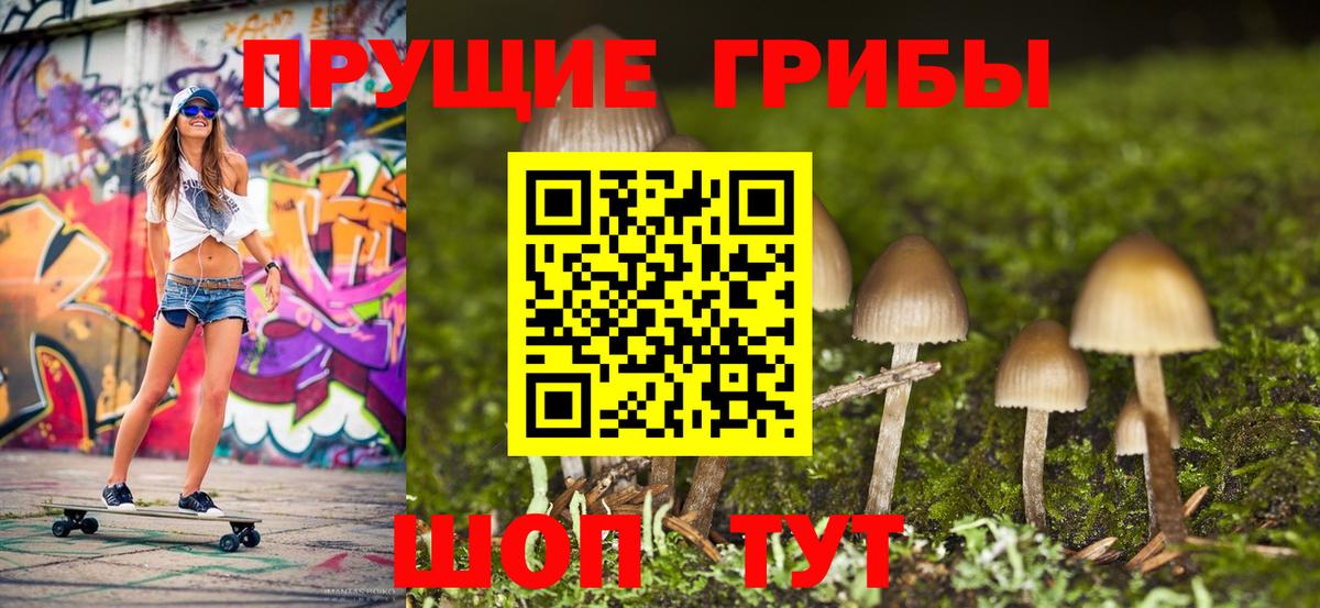 Псилоцибиновые грибы Psilocybe Обнинск